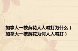 加拿大一枝黄花人人喊打为什么（加拿大一枝黄花为何人人喊打）