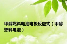 甲醇燃料电池电极反应式（甲醇燃料电池）