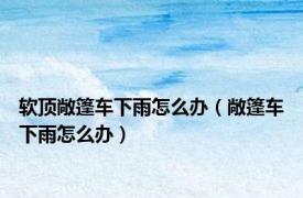 软顶敞篷车下雨怎么办（敞篷车下雨怎么办）