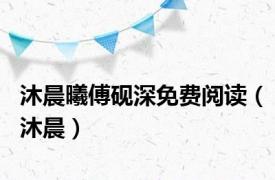 沐晨曦傅砚深免费阅读（沐晨）