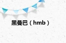 黑曼巴（hmb）