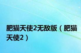 肥猫天使2无敌版（肥猫天使2）