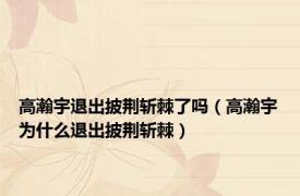 高瀚宇退出披荆斩棘了吗（高瀚宇为什么退出披荆斩棘）
