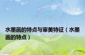 水墨画的特点与审美特征（水墨画的特点）