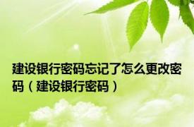 建设银行密码忘记了怎么更改密码（建设银行密码）