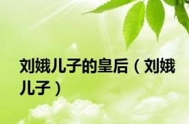 刘娥儿子的皇后（刘娥儿子）
