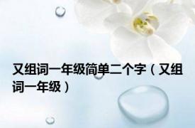 又组词一年级简单二个字（又组词一年级）