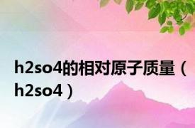 h2so4的相对原子质量（h2so4）