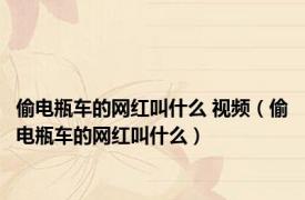 偷电瓶车的网红叫什么 视频（偷电瓶车的网红叫什么）