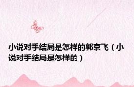小说对手结局是怎样的郭京飞（小说对手结局是怎样的）