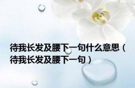 待我长发及腰下一句什么意思（待我长发及腰下一句）