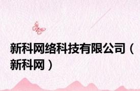 新科网络科技有限公司（新科网）