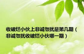 收破烂小伙上非诚勿扰是第几期（非诚勿扰收破烂小伙哪一期）
