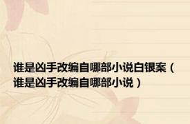 谁是凶手改编自哪部小说白银案（谁是凶手改编自哪部小说）