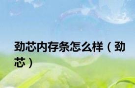 劲芯内存条怎么样（劲芯）
