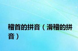稽首的拼音（滑稽的拼音）