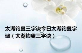 太湖钓叟三字诀今日太湖钓叟字谜（太湖钓叟三字诀）