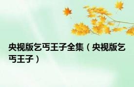 央视版乞丐王子全集（央视版乞丐王子）