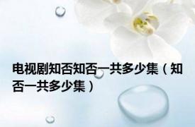 电视剧知否知否一共多少集（知否一共多少集）