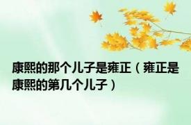 康熙的那个儿子是雍正（雍正是康熙的第几个儿子）