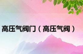 高压气阀门（高压气阀）