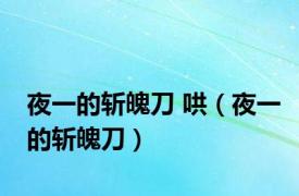 夜一的斩魄刀 哄（夜一的斩魄刀）