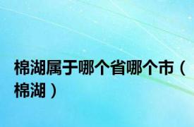 棉湖属于哪个省哪个市（棉湖）