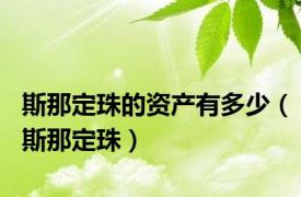 斯那定珠的资产有多少（斯那定珠）