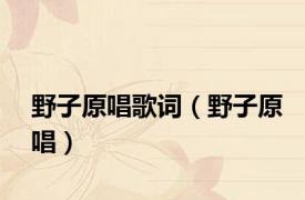 野子原唱歌词（野子原唱）