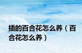 插的百合花怎么养（百合花怎么养）