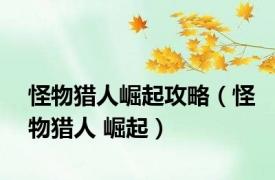 怪物猎人崛起攻略（怪物猎人 崛起）