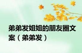 弟弟发姐姐的朋友圈文案（弟弟发）