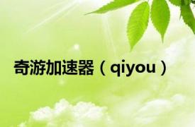 奇游加速器（qiyou）