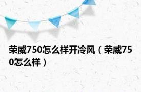 荣威750怎么样开冷风（荣威750怎么样）