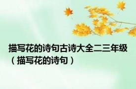 描写花的诗句古诗大全二三年级（描写花的诗句）