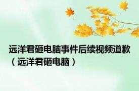 远洋君砸电脑事件后续视频道歉（远洋君砸电脑）