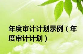 年度审计计划示例（年度审计计划）