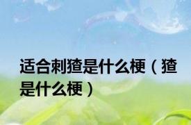适合刺猹是什么梗（猹是什么梗）