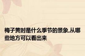 梅子黄时是什么季节的景象,从哪些地方可以看出来