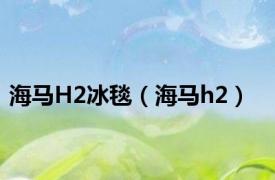海马H2冰毯（海马h2）