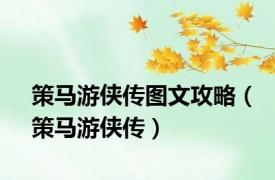 策马游侠传图文攻略（策马游侠传）