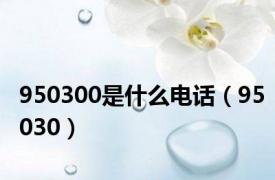 950300是什么电话（95030）
