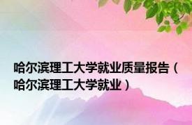 哈尔滨理工大学就业质量报告（哈尔滨理工大学就业）