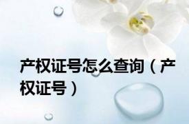 产权证号怎么查询（产权证号）