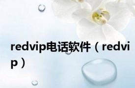 redvip电话软件（redvip）