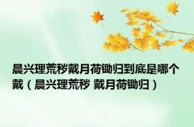 晨兴理荒秽戴月荷锄归到底是哪个戴（晨兴理荒秽 戴月荷锄归）