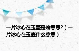 一片冰心在玉壶是啥意思?（一片冰心在玉壶什么意思）