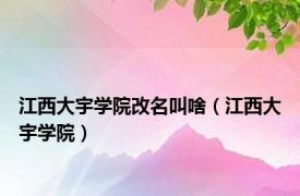 江西大宇学院改名叫啥（江西大宇学院）