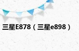 三星E878（三星e898）