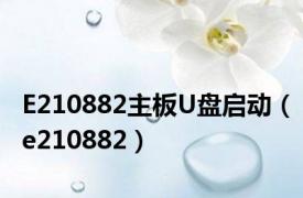 E210882主板U盘启动（e210882）